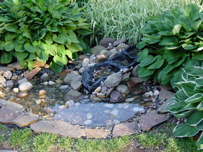 pond bird bath